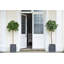 Berenice Handmade Pot Planter-14486351-48478046