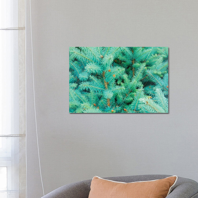 Thorns of Fir 1 Piece Wrapped Canvas Wall Art, 66.04 cm H x 45.72 cm W x 1.91 cm D