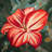 Blooming daylilies - 32"x32" art on canvas