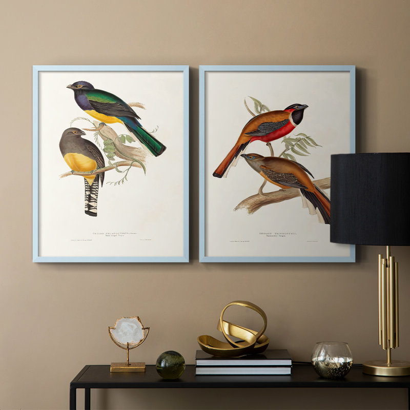 ElegantTrogonsIII-Premium Framed Print -Ready to Hang - No Nails Required - No Nails Required, Blue, 15" H x 24" W