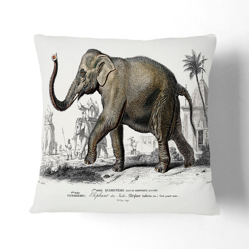 Square Throw Cushion, 55cm H x 55cm W x 20cm D