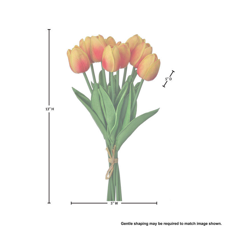 13" Eva Dutch Tulip Bundle
