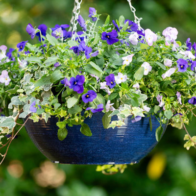 Hanging Planter