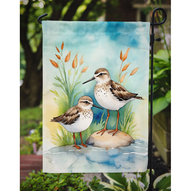Drapeau de jardin Surfbird Bird, Bécasseaux