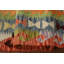 Tapis décoratif multicolore kilim oriental 4 x 6