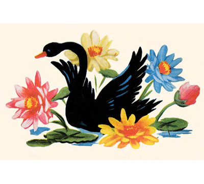 " Black Swan "