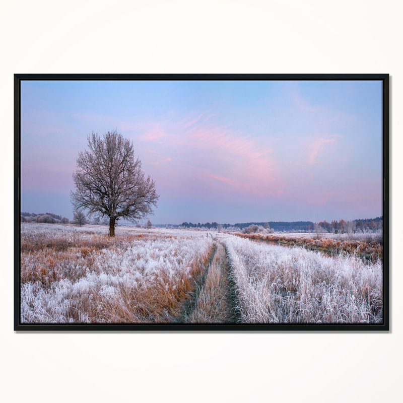« dry oak tree », photographie, H 12 po x l 20 po x P 1 po, Cadre flottant