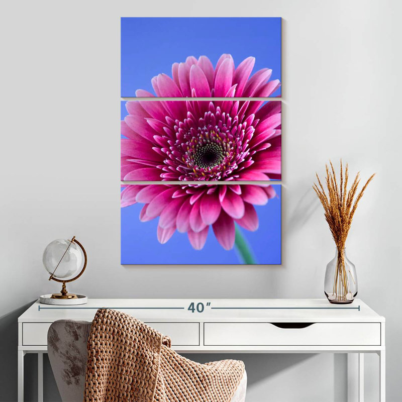 Rose Harnek Gerbera Daisy I, H 32 po x l 20 po