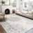Sabrenna Paige Distressed Ivory Machine Washable Area Rugs-1721766760