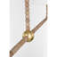 Dubuc Chapman and Myers Traditional Fiona Chandelier-1545494795