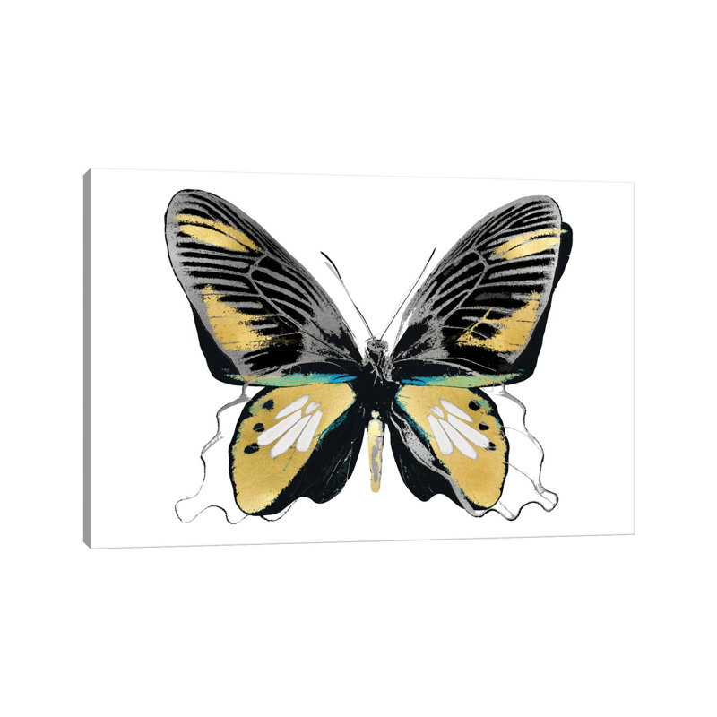 Vibrant Butterfly VI by Julia Bosco - No Frame Gallery-Wrapped Canvas Giclée on Canvas, 30.48cm H x 45.72cm W