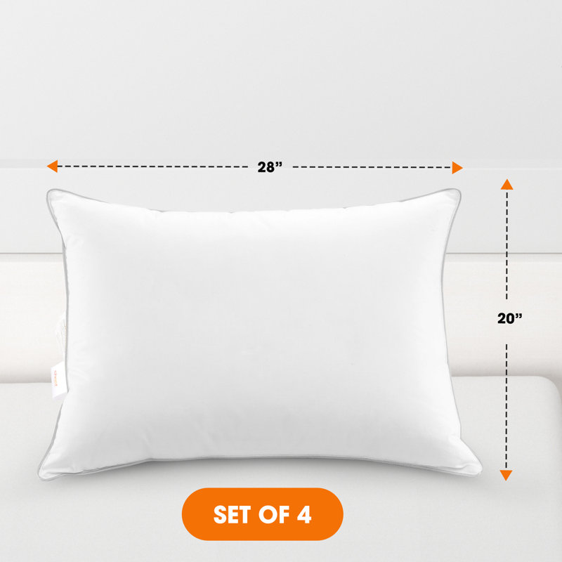 Beyonce Down Alternative Medium Pillow, Standard