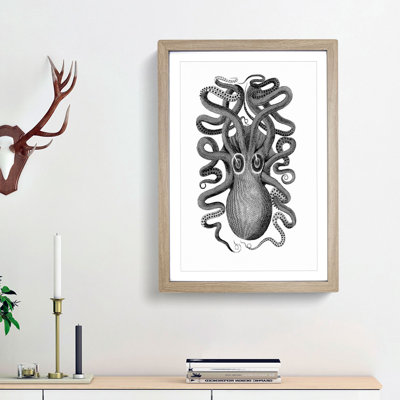 Octopus in Black and White by George Shaw - Picture Frame Drawing Print on MDF