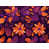 Orange/Purple selected