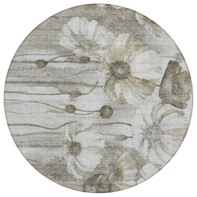  Emblyn Area Rug