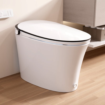 DeerValley Elongated Smart Toilet with Lady/Rear Wash, MAP 1000g Powerful Flush Tankless Design, Foot Kick Auto Flush, and Remote Control in White