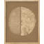 «Wood Grain Geometric Texture» sur papier-98267355-98267358