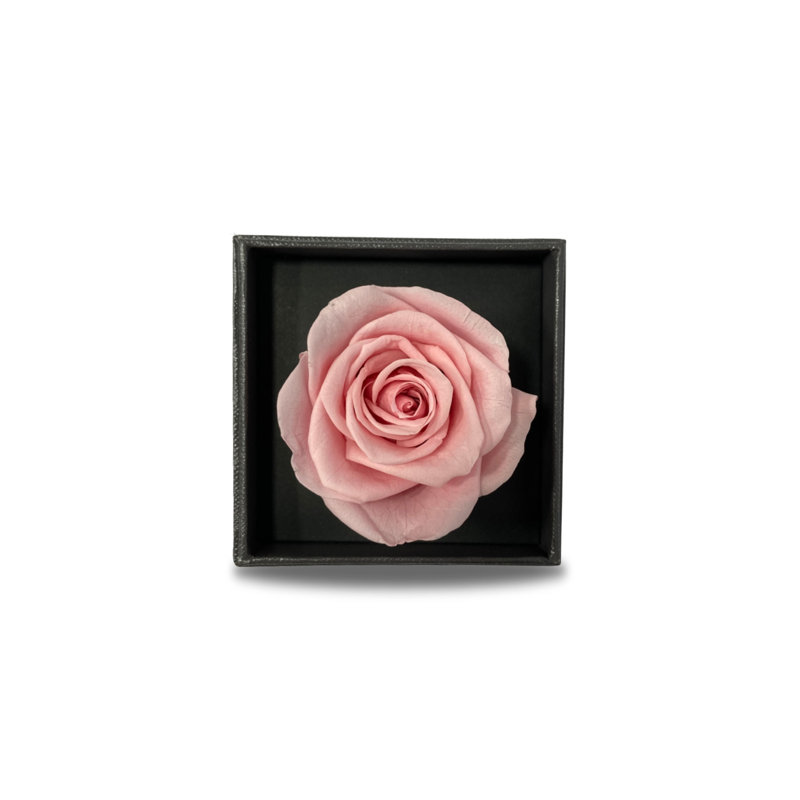 Rose Arrangement in Free-Standing, Pink