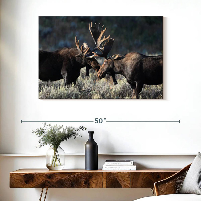 Orignal à Grand Teton, H 26 po x l 39 po
