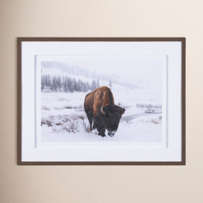 Afrika " Winter In Paradise By Gary Blatter A Hand Embelished Textured Framed Art Print Matted Under Glass "
