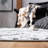 Jovie Moroccan Tassel Shag Performance Southwestern Rug-129987149