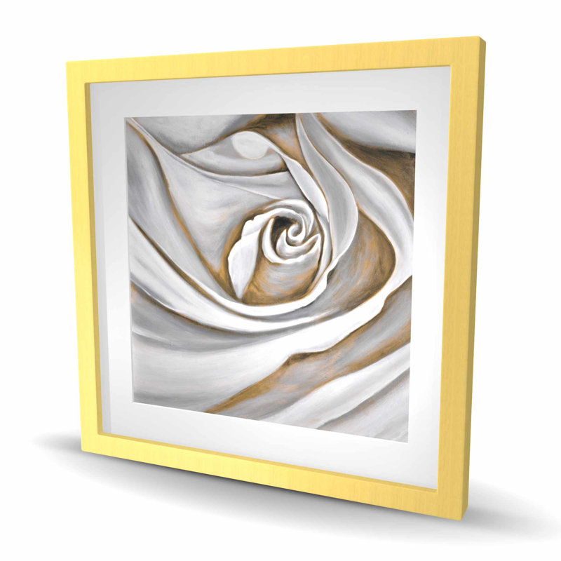 Gros plan sur une rose blanche