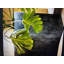 Olivero Concrete Planter