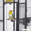 Cage à oiseau Lucian-1384716119-1421677916
