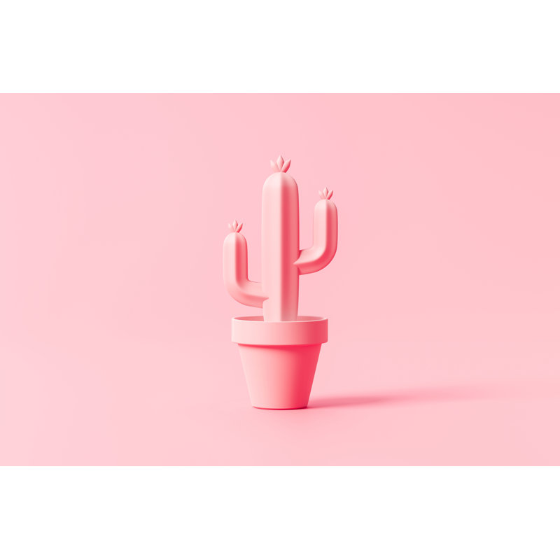 Pink Cactus - Wrapped Canvas Print, 51cm H x 76cm W x 3.8cm D