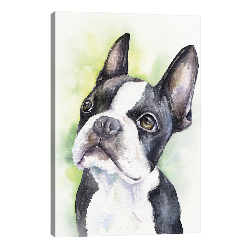Boston Terrier Puppy - Wrapped Canvas Print, 66.04 cm H x 45.72 cm W x 3.175 cm D