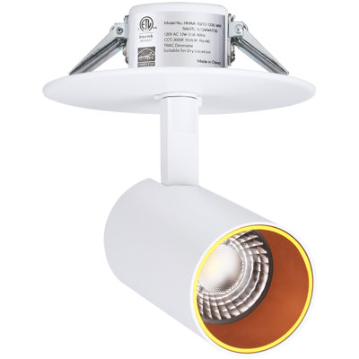 5.51'' 1 -Light Fixed Track Track Kit with Dimmable and Adjustable Head