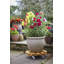 Charleah Caddy Plant Stand