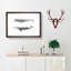 Californian Grey & Finback Whale by C.M. Scammon - Picture Frame Painting Print-55621192-55621193