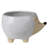 Alinuswe Hedgehog Cachepot