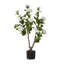 90cm Plant