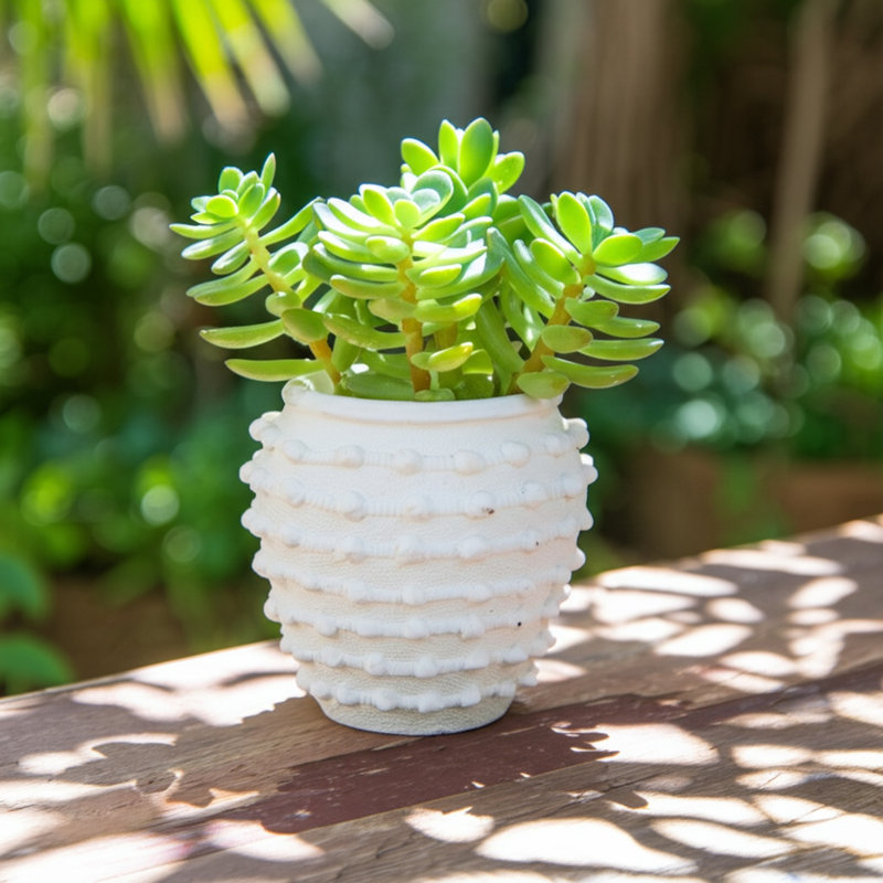 Stoneware Ceramic Planter with Raised Textured Surface and Rounded Edge Design - Contemporary Decorative Accent Pot with Sculpted Detail Ideal for Versatile Indoor or Outdoor Display
