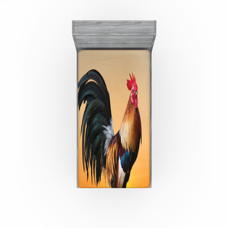 Multicolore Ambesonne, Drap-housse de taille simple