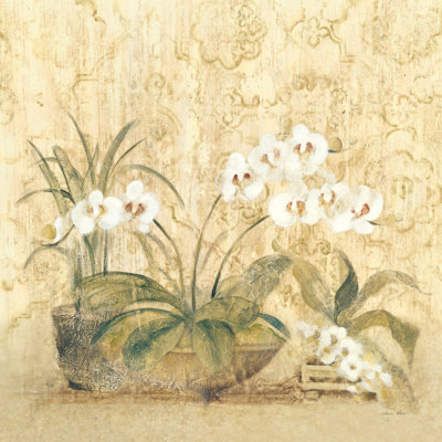 «Espirit Orchid» par Cheri Blum, reproduction