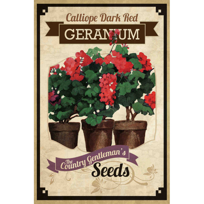 « fleur packet géranium », reproduction d’art sur toile tendue, H 36 po x l 24 po
