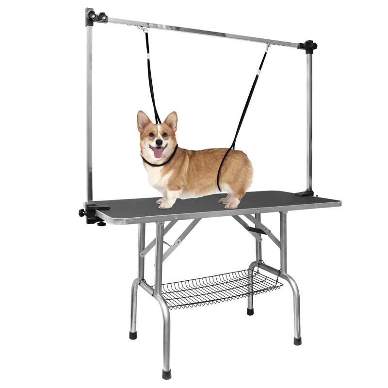 Tables de toilettage ajustables, Noir, H 64 po x l 36 po x P 24 po