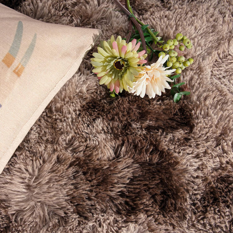 Tapis à poil long Antonije Tie Dye, Rectangle 6 pi x 9 pi, Brun