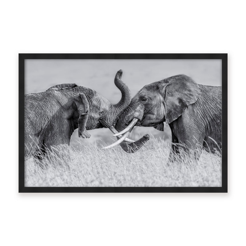 Nature Inspired Elephant Tai Chi by  - Picture Frame Photograph on Paper, 24" H x 36" W x 2.375" D, Framed Canvas, Beige
