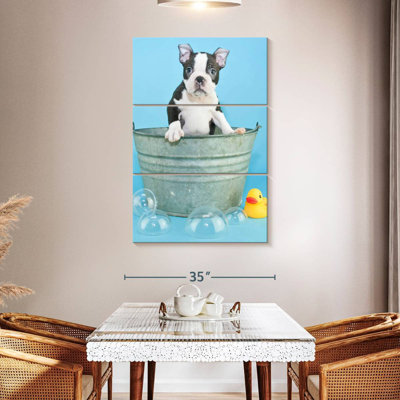 Brampt Bathing Terrier Dog