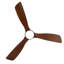 Ceiling Fan with LED Lights