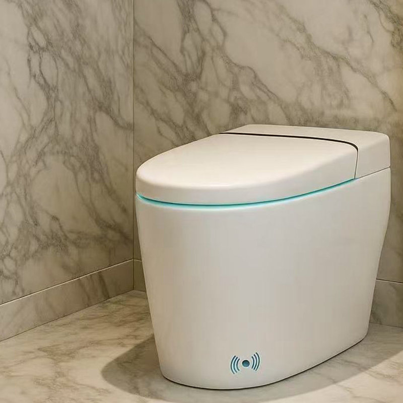 Toilette allongée sans réservoir à double chasse Euroto