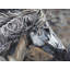 «Side of a Wild Horse», art contemporain sur toile encadré gris-120128592