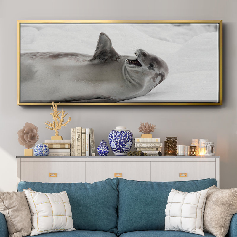 Laughing Seal- Framed Canvas