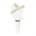 White/Gold