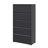 5-Drawer Metal Lateral File Cabinet with Lock, Black Steel Office Storage for Legal/Letter Size