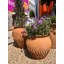Mairead Handmade Pot Planter-14486274